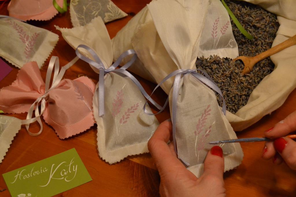 Hosteria Katy Σαν Κάρλος ντε Μπαριλότσε Εξωτερικό φωτογραφία